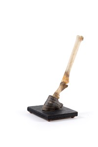 Image description is not available for 1997.1.8